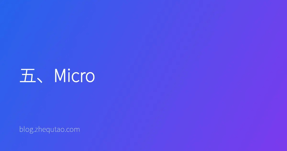 五、Micro