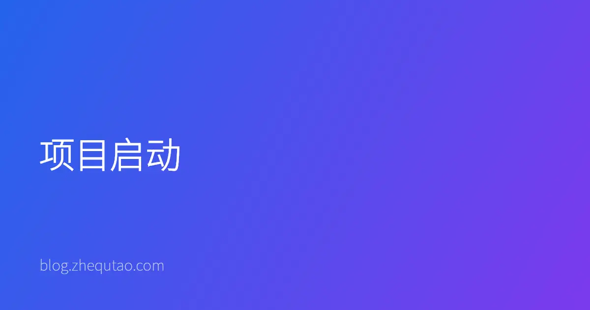 项目启动